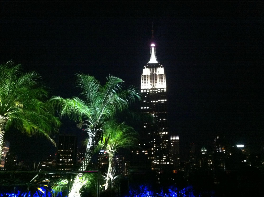 230 FIFTH ROOFTOP BAR NYC-纽约市必去景点