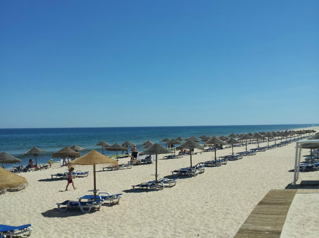 Praia da Terra Estreita景点图片