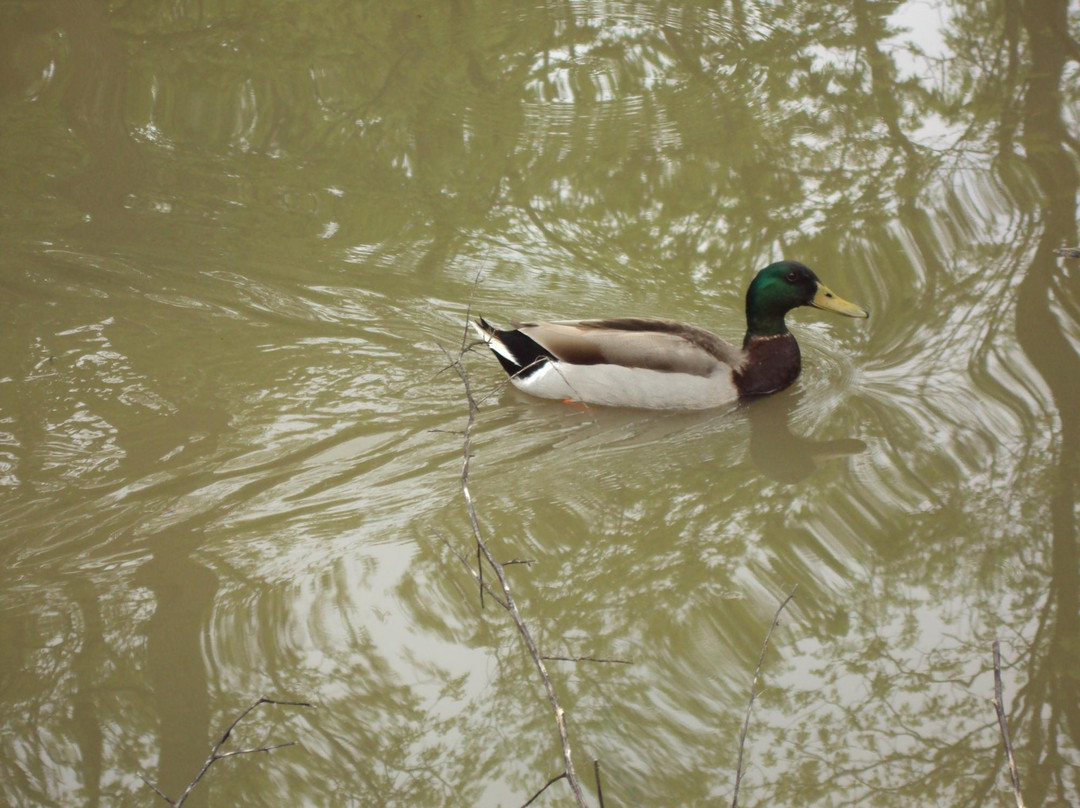 Heaven's Corner Zoo & Animal Sanctuary-West Alexandria必去景点