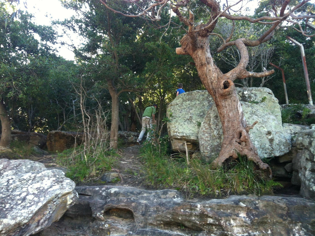Clifton Gardens景点图片