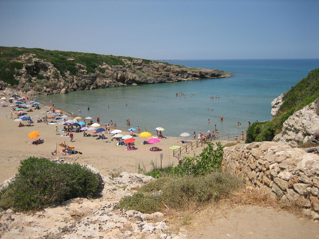 Spiaggia Calamosche景点图片