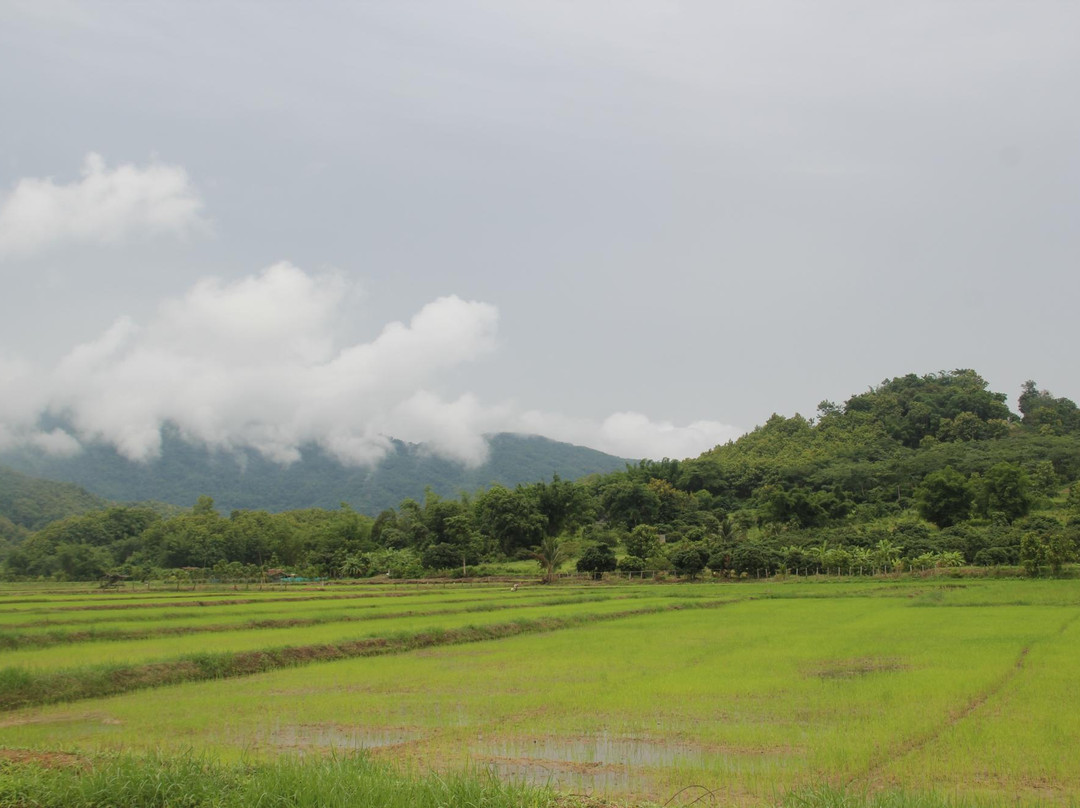 清迈自驾游-清迈必去景点
