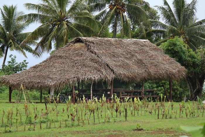 Aitutaki Punarei Culture Day Tour-艾图塔基必去景点
