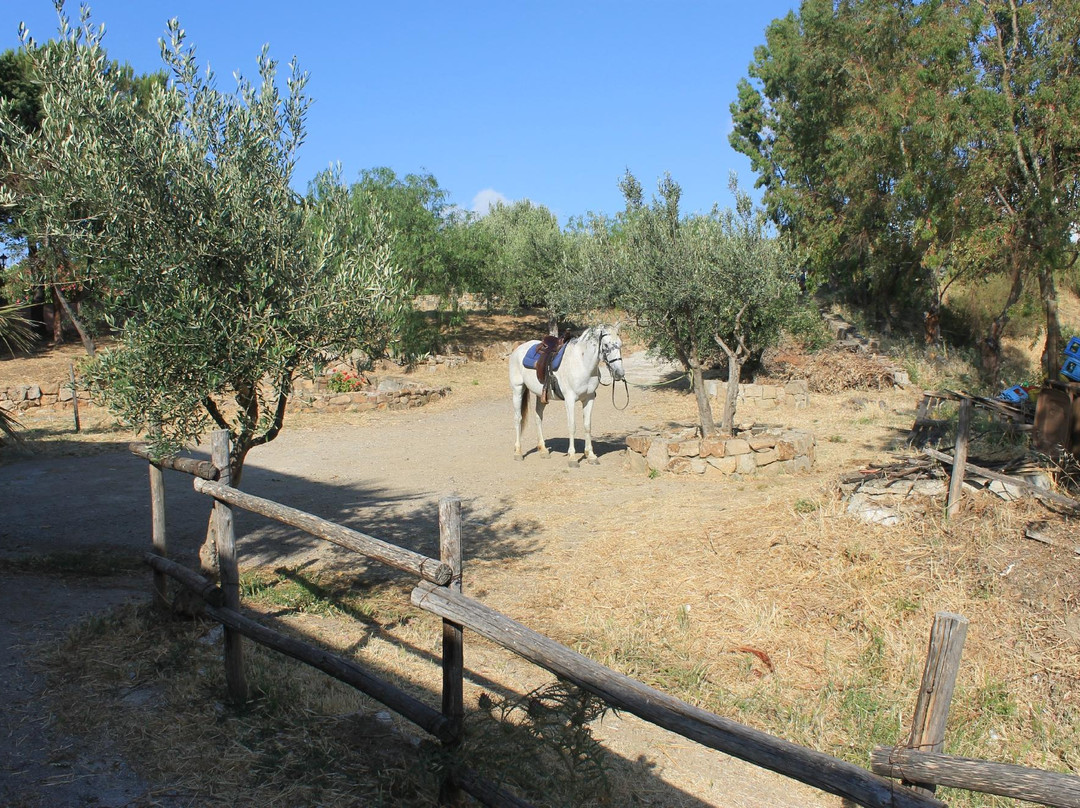 Sicily Horse Tours景点图片
