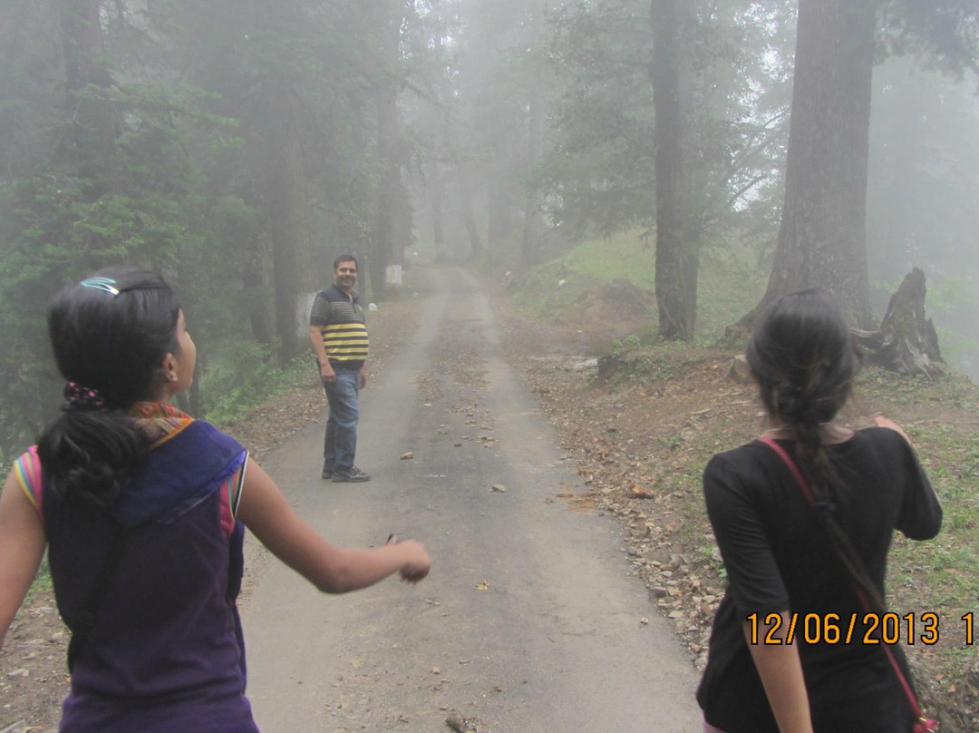 Aamod Tethys @ Narkanda主图