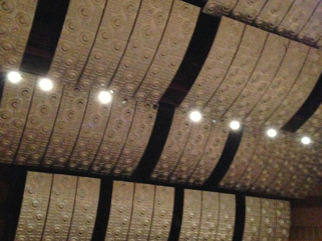 The Southern Kentucky Performing Arts Center-SKyPAC-鲍灵格林必去景点