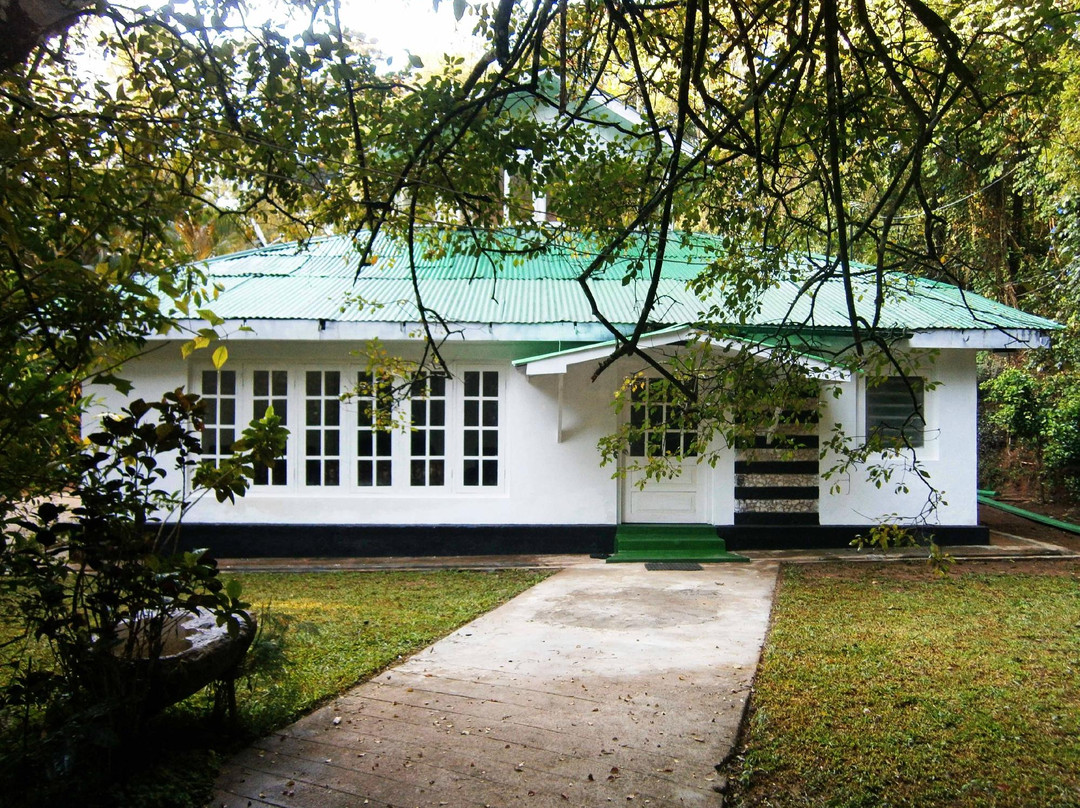 Surrey Bird Sanctuary & Holiday Resort