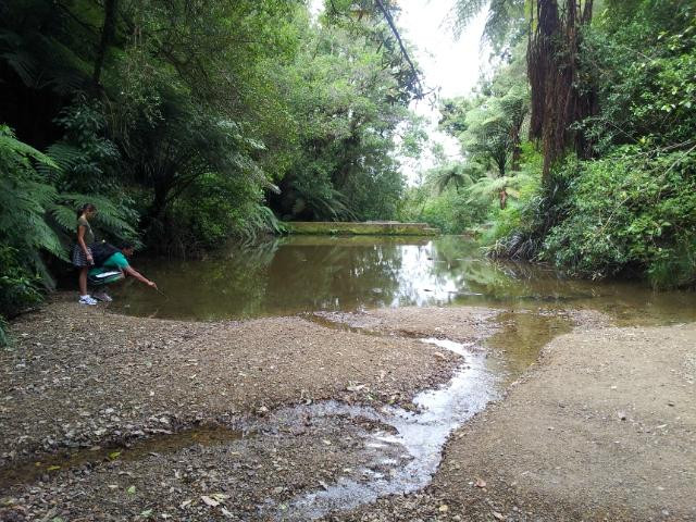 Waterworks Walk-Ngaruawahia必去景点