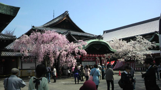 祇园甲部歌舞剧场-京都市必去景点