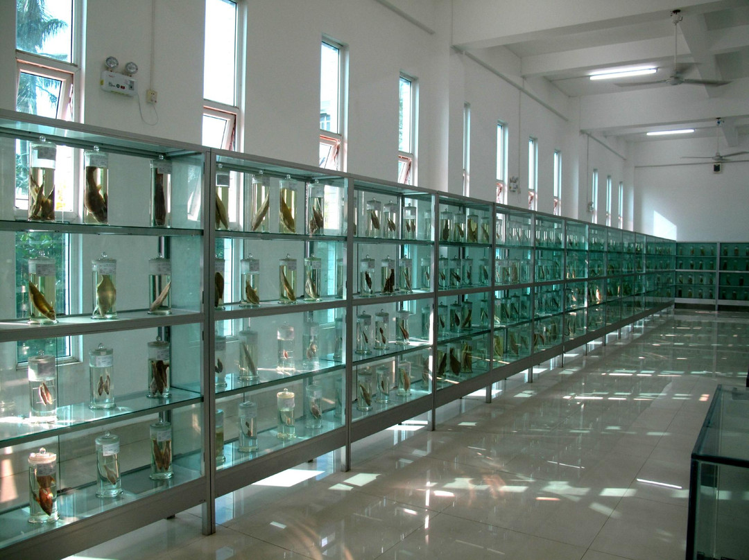 海洋大学水生生物博物馆-湛江市必去景点