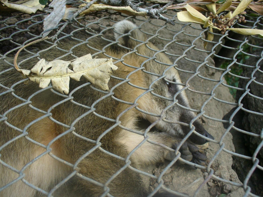 La Estacion de Cria de Fauna-Piriapolis必去景点