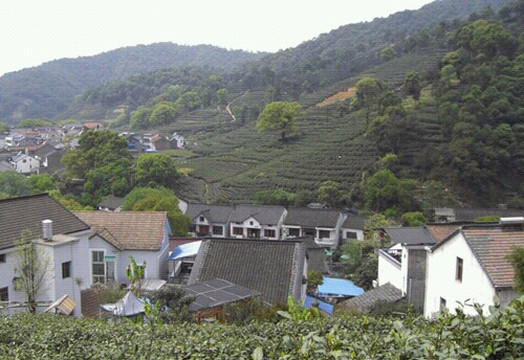 梅家坞-杭州市必去景点