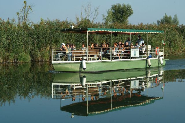 Escursioni Fluviali Valli del Mincio Day Tours景点图片