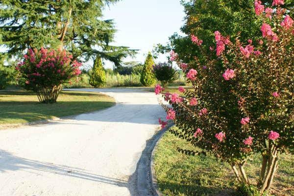 Domaine Pascaud主图