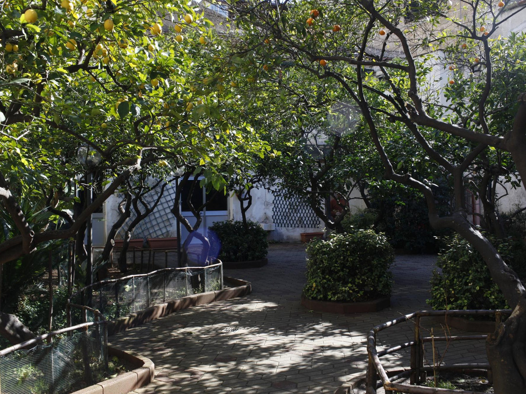 Foresteria Centro Diaconale La Noce -  Istituto Valdese主图