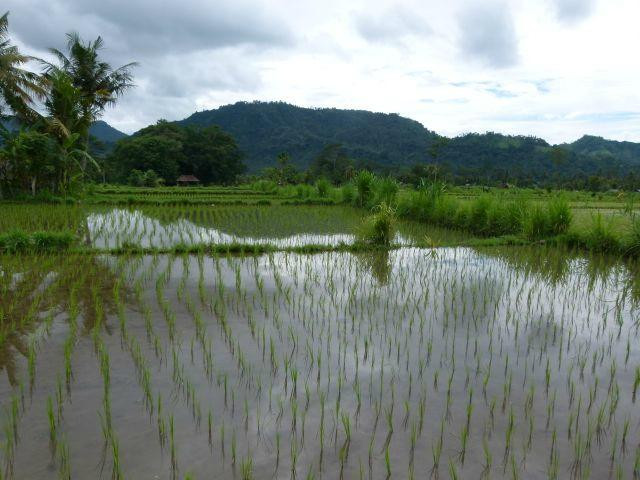 Green Kitchen-Tangkup必去景点