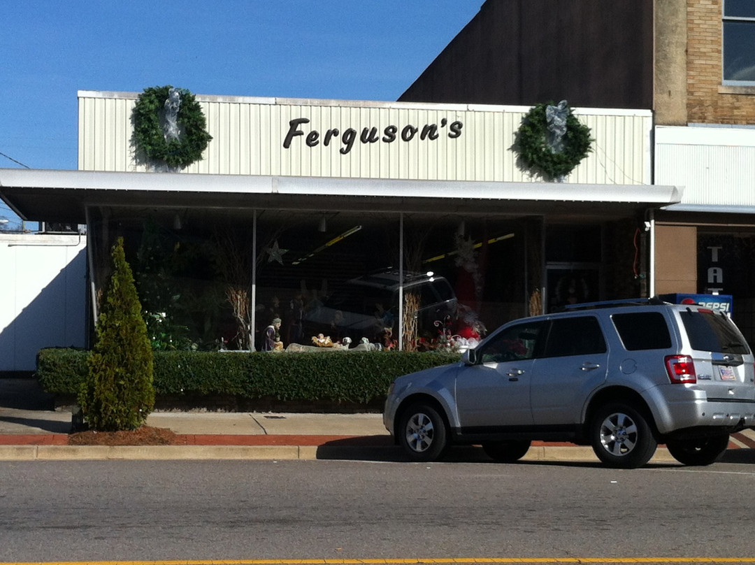 Ferguson Florist景点图片