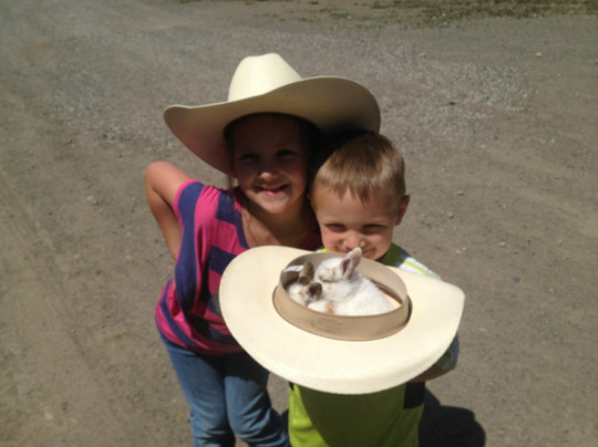 Erin Valley Riding Stables-坎卢普斯必去景点