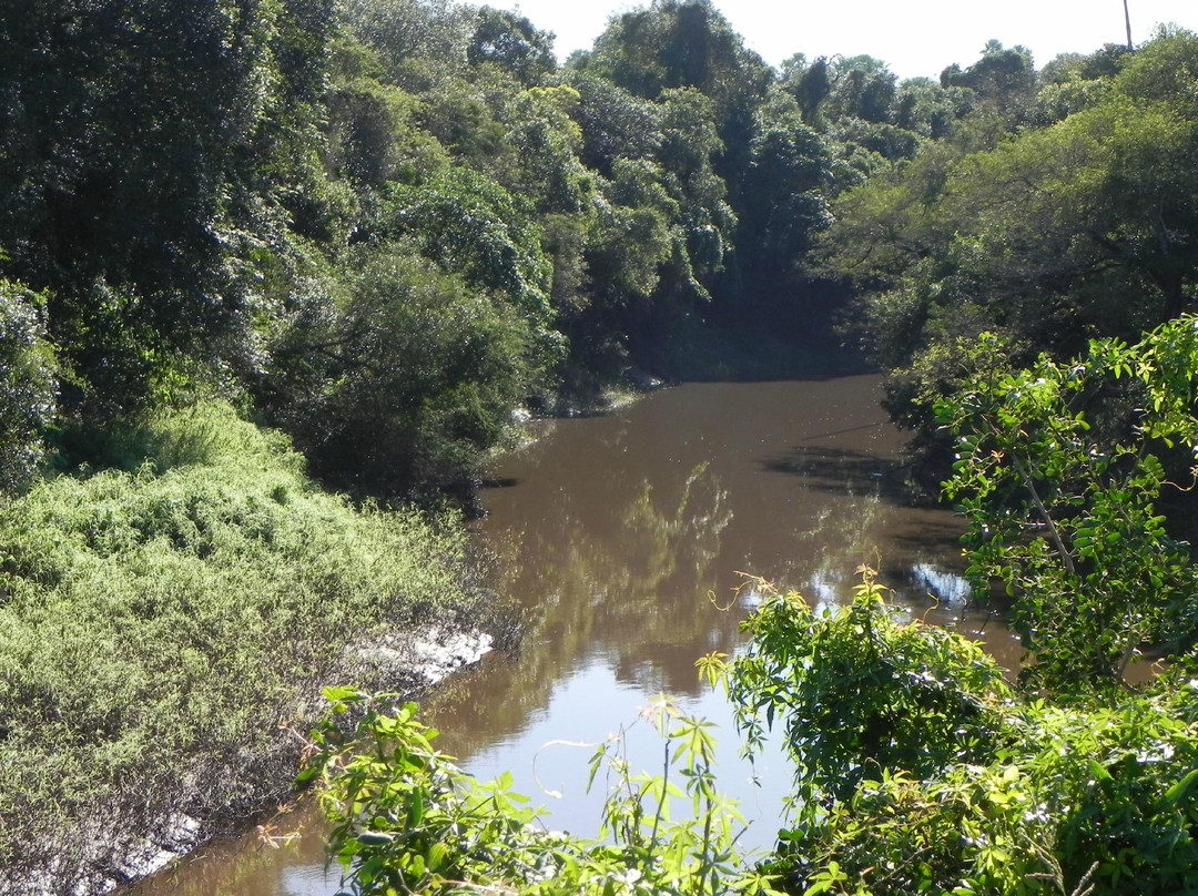 Parque Nacional Río Pilcomayo景点图片