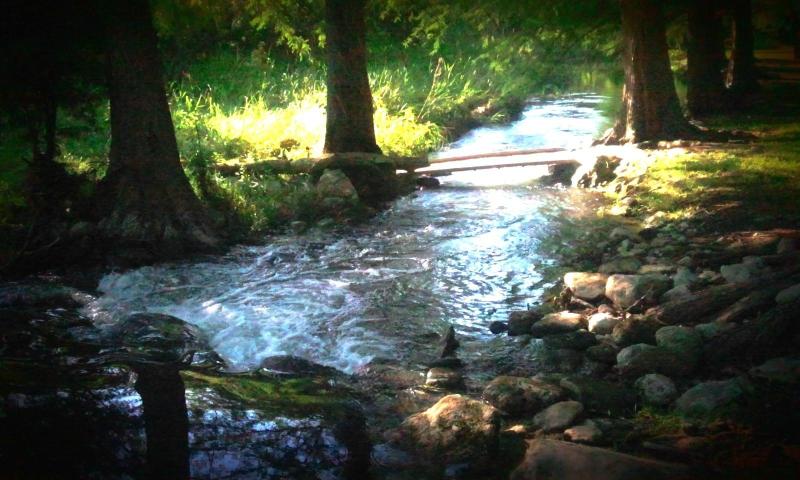 Morning Glory House Bed & Breakfast-浴室