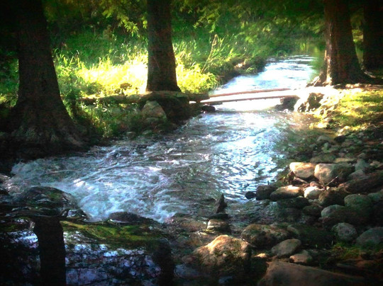 Morning Glory House Bed & Breakfast主图