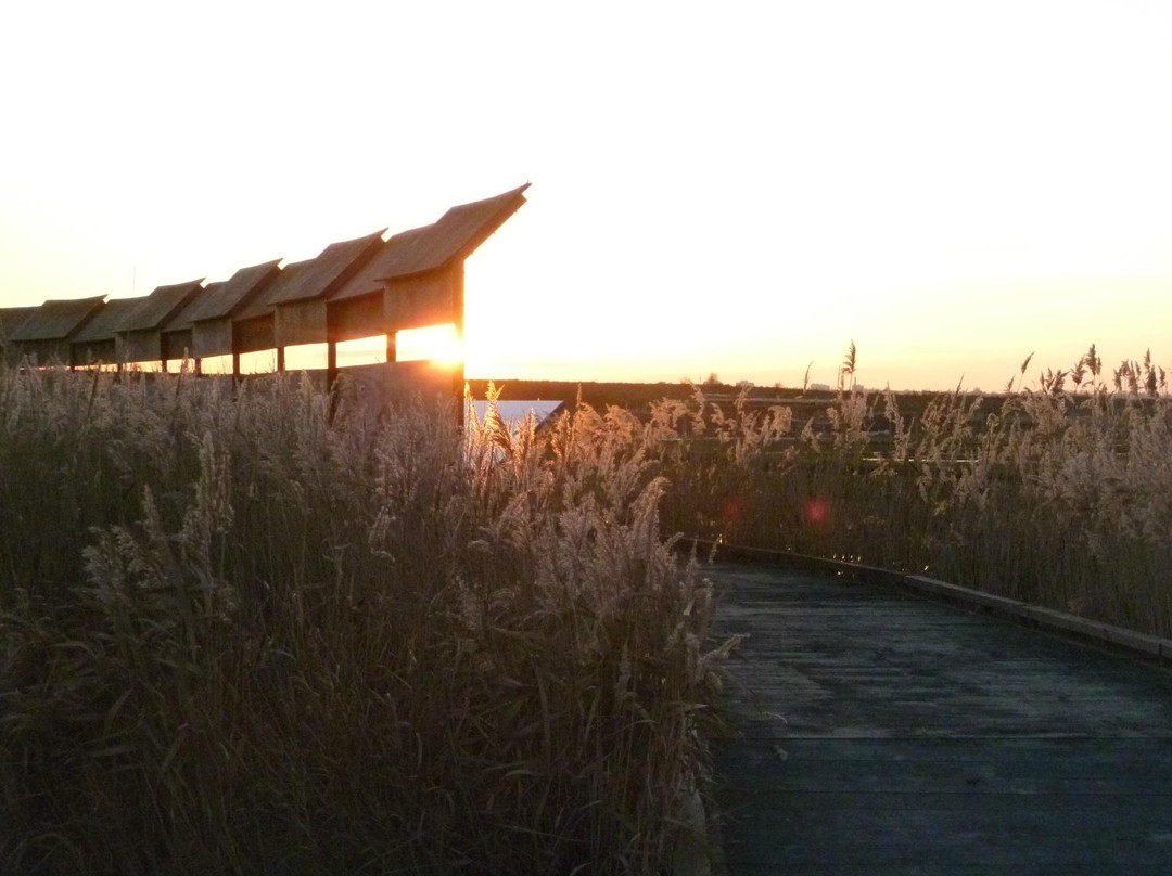 Rainham Marshes景点图片