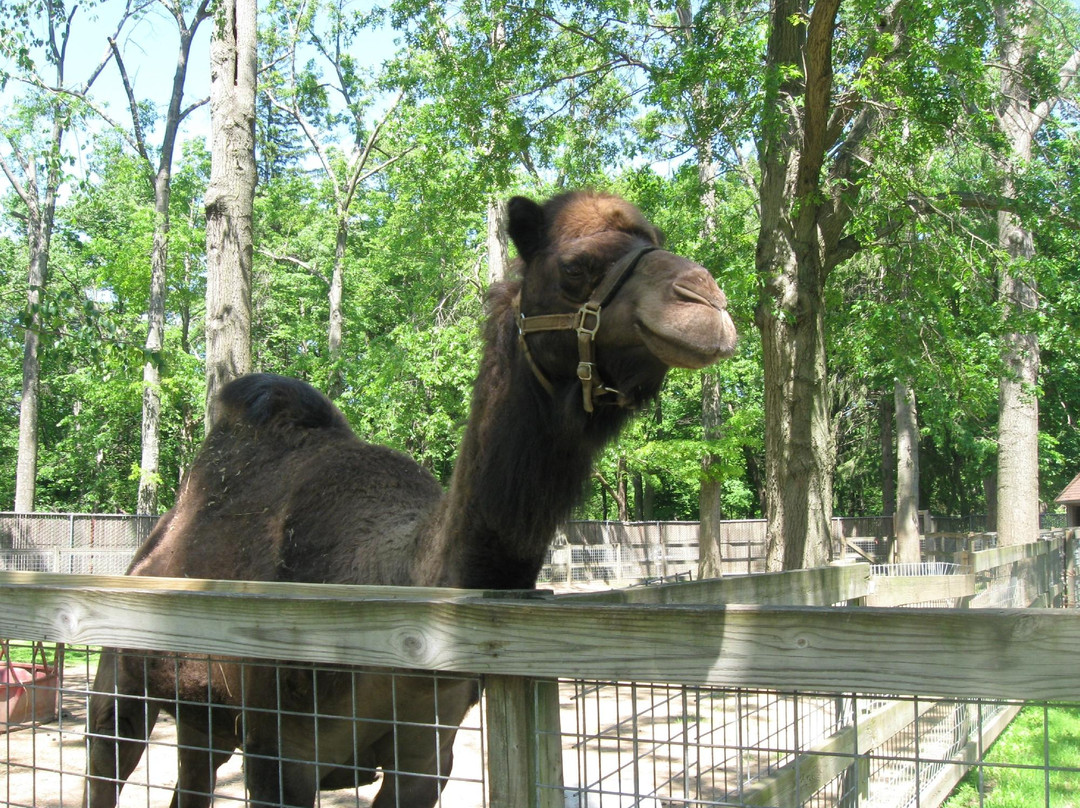The Zoo in Forest Park & Education Center-斯普林菲尔德必去景点