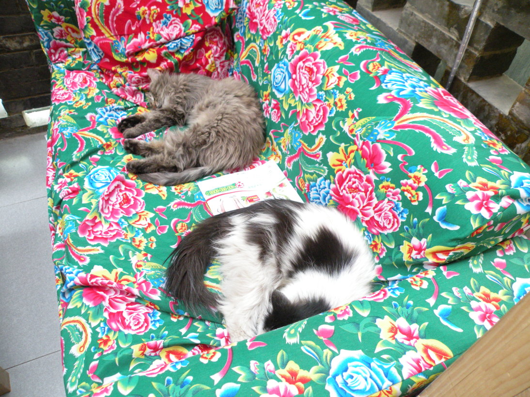 鼓韵青年旅舍-客卧