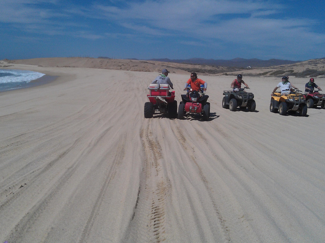 Cactus Tours-卡波圣卢卡斯必去景点
