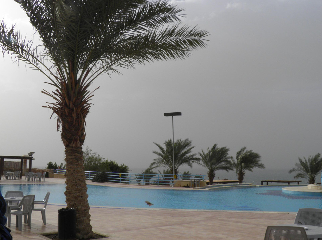 Dead Sea-达纳必去景点