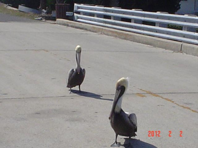 Cedar Key Museum State Park景点图片