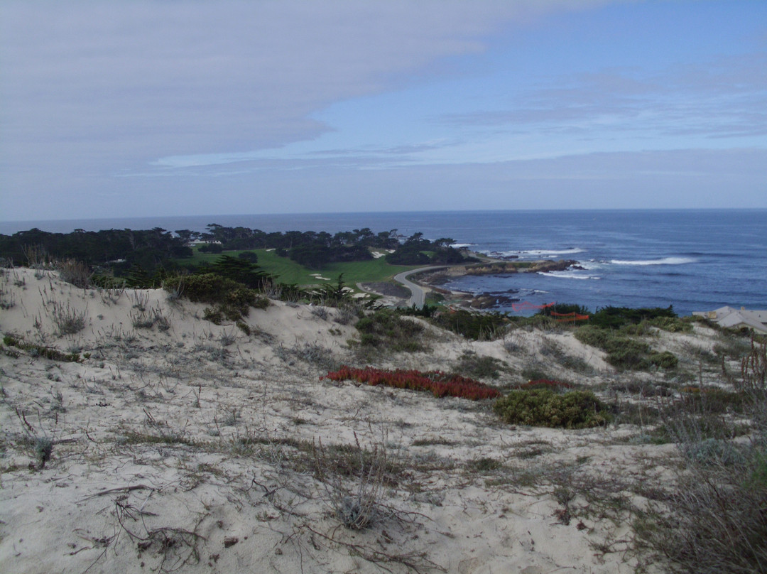 Pebble Beach Equestrian Center-圆石滩必去景点