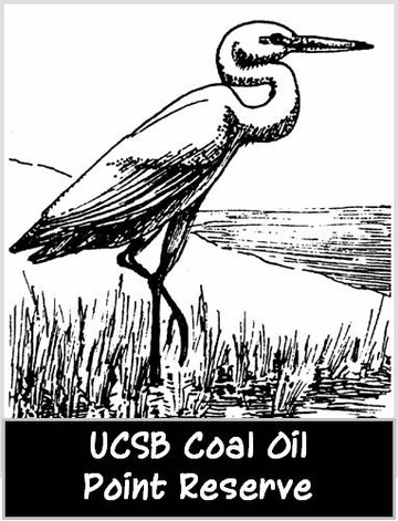 Coal Oil Point Reserve-戈利塔必去景点