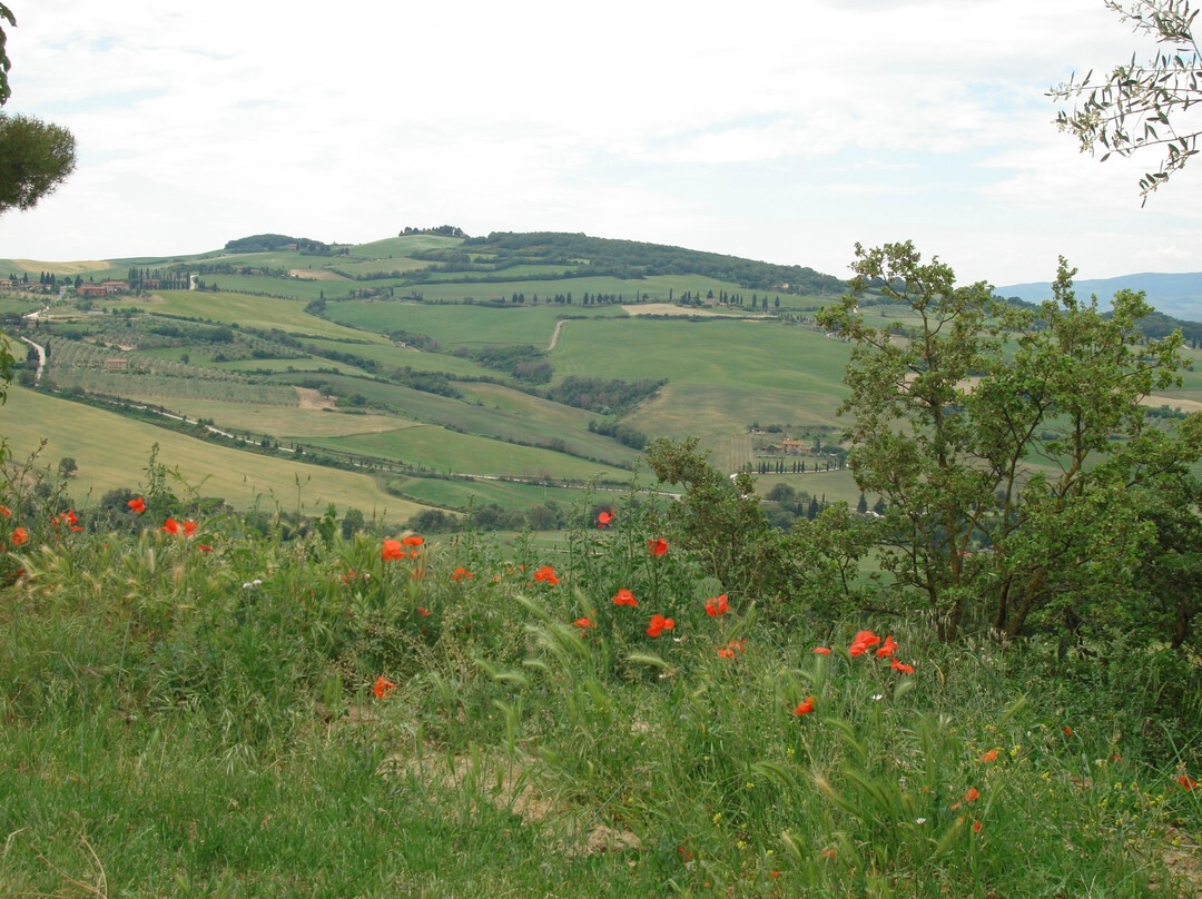 Podere Il Casale-皮恩扎必去景点