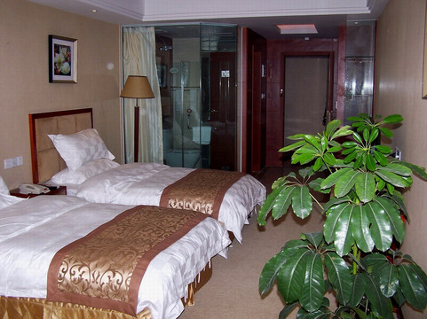 和颐至尚酒店（成都武侯祠省骨科医院地铁站店）主图