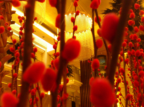 雅诗特酒店主图