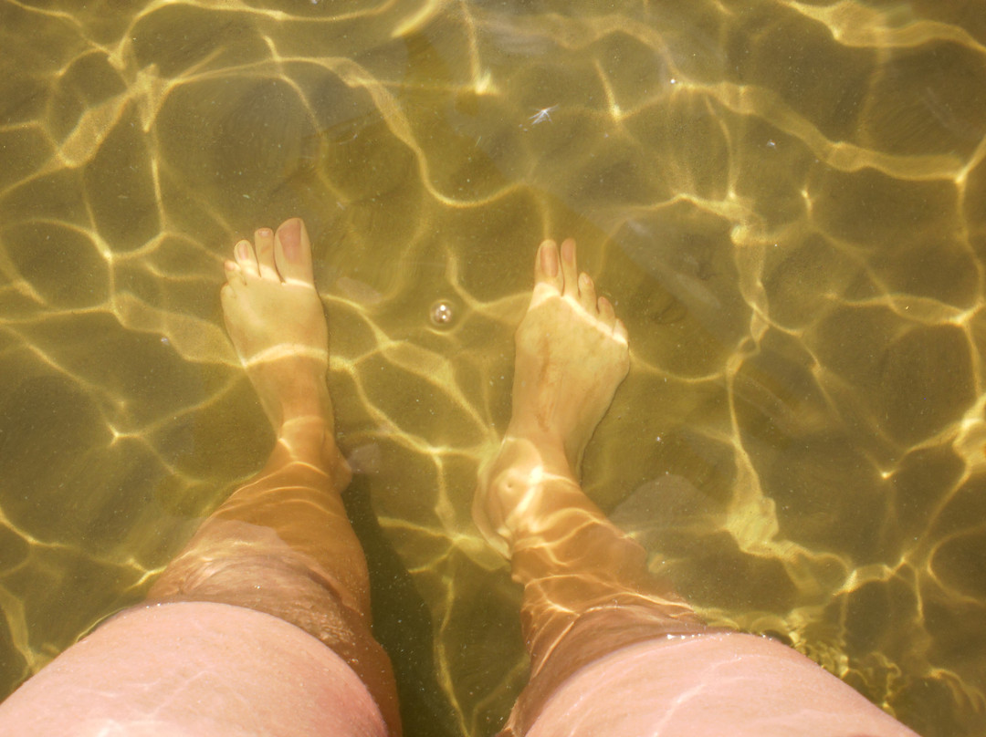Alburg Dunes State Park-Alburgh必去景点