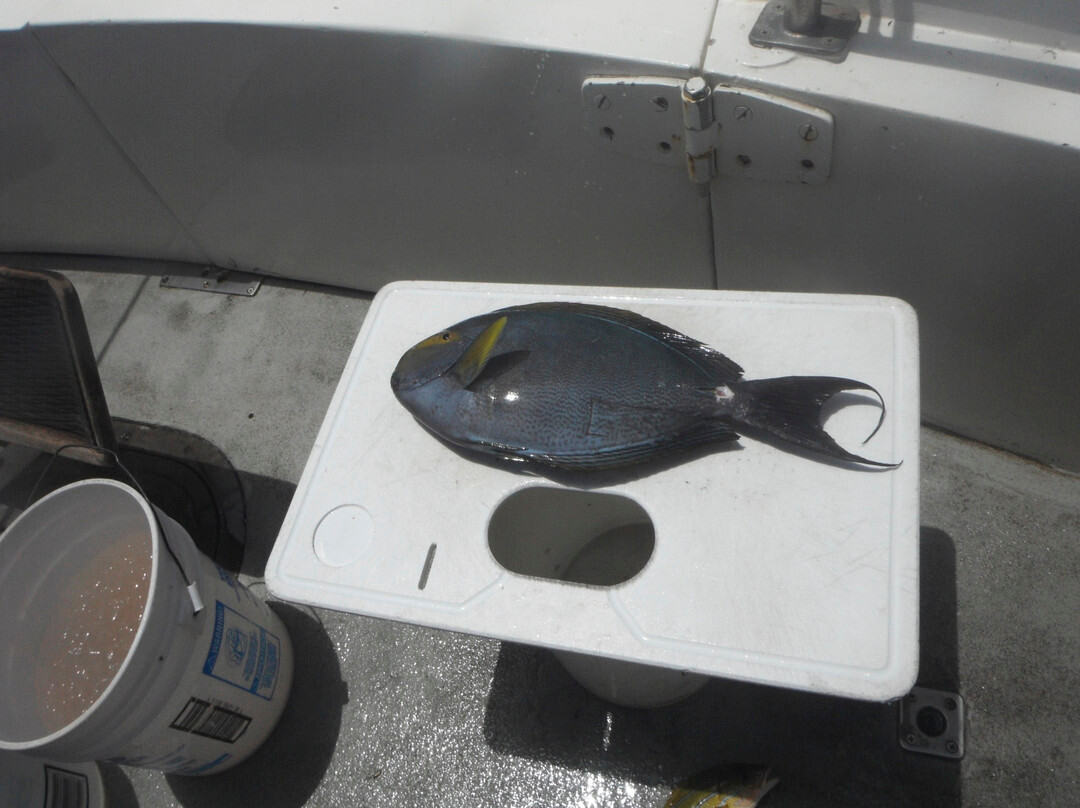 Strike Zone Sportfishing & Bottom Fishing-海库必去景点