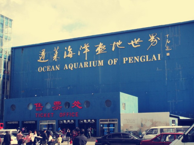 蓬莱海洋极地世界-蓬莱市必去景点