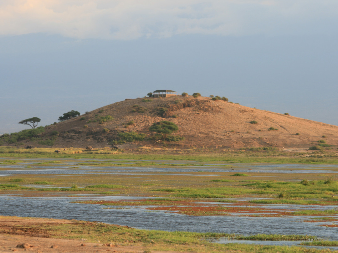 null-安博塞利国家公园