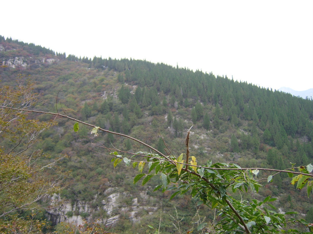 沂源九天洞-沂源县必去景点