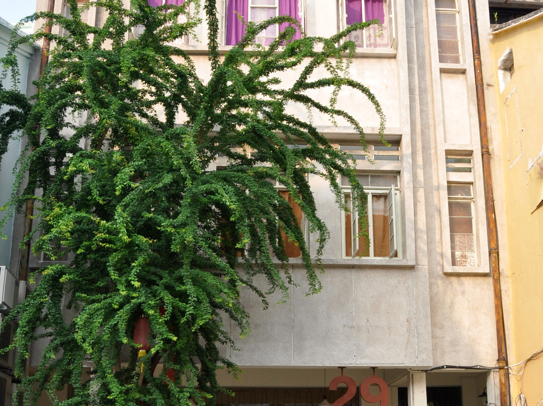 Little India - Penang-槟城必去景点