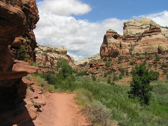 Calf Creek Falls Recreation Area景点图片