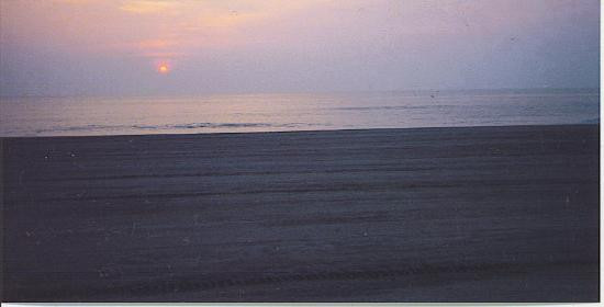 First Landing State Park-弗吉尼亚海滩必去景点