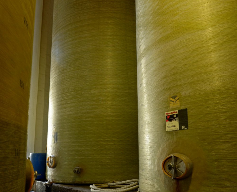 Bodega y Viñedos Garbin-圣拉斐尔必去景点