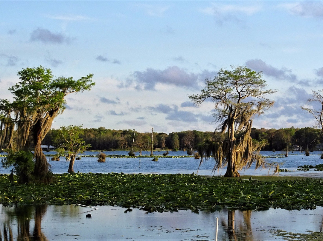 Withlacoochee Backwaters RV