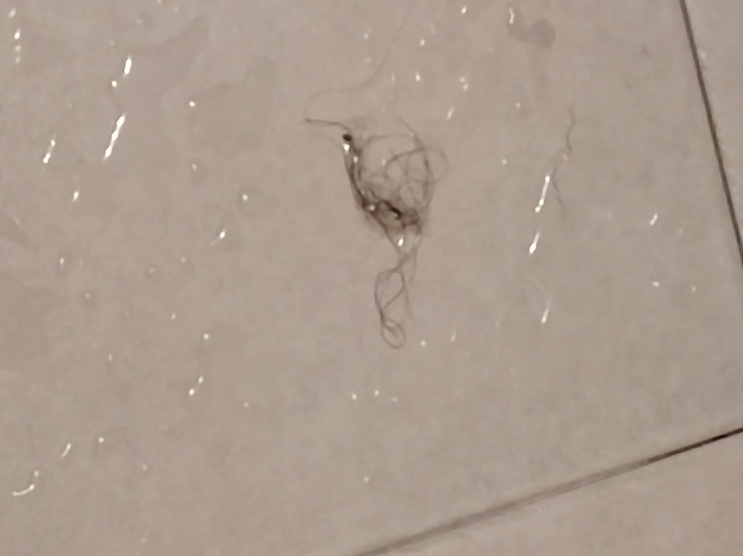 Mision Orizaba主图