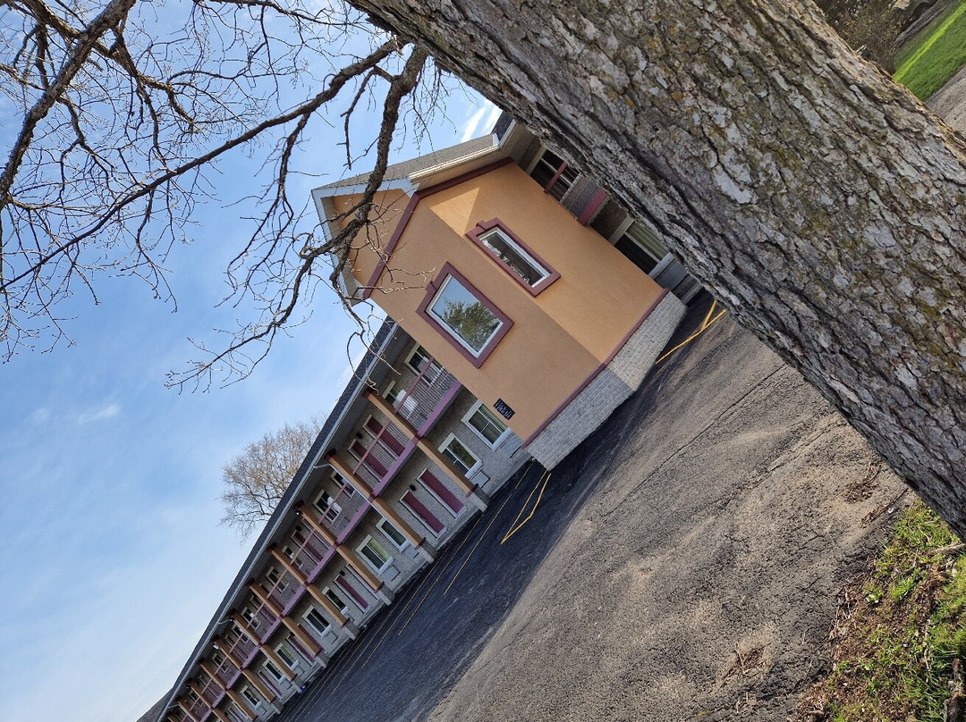 Super 8 by Wyndham Kingston主图