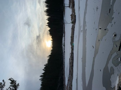 Feel The Nature-赫尔辛基必去景点