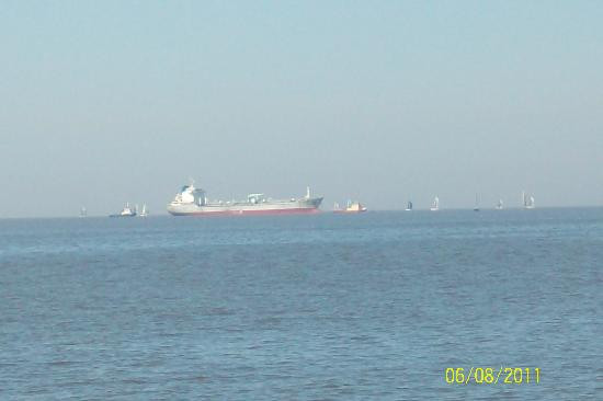 Reserva Ecológica Costanera Sur-布宜诺斯艾利斯必去景点